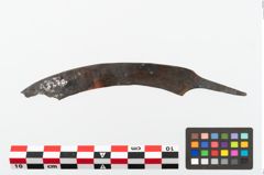 Foto von Eisengriffangelmesser (NHMW-PRAE-002270)